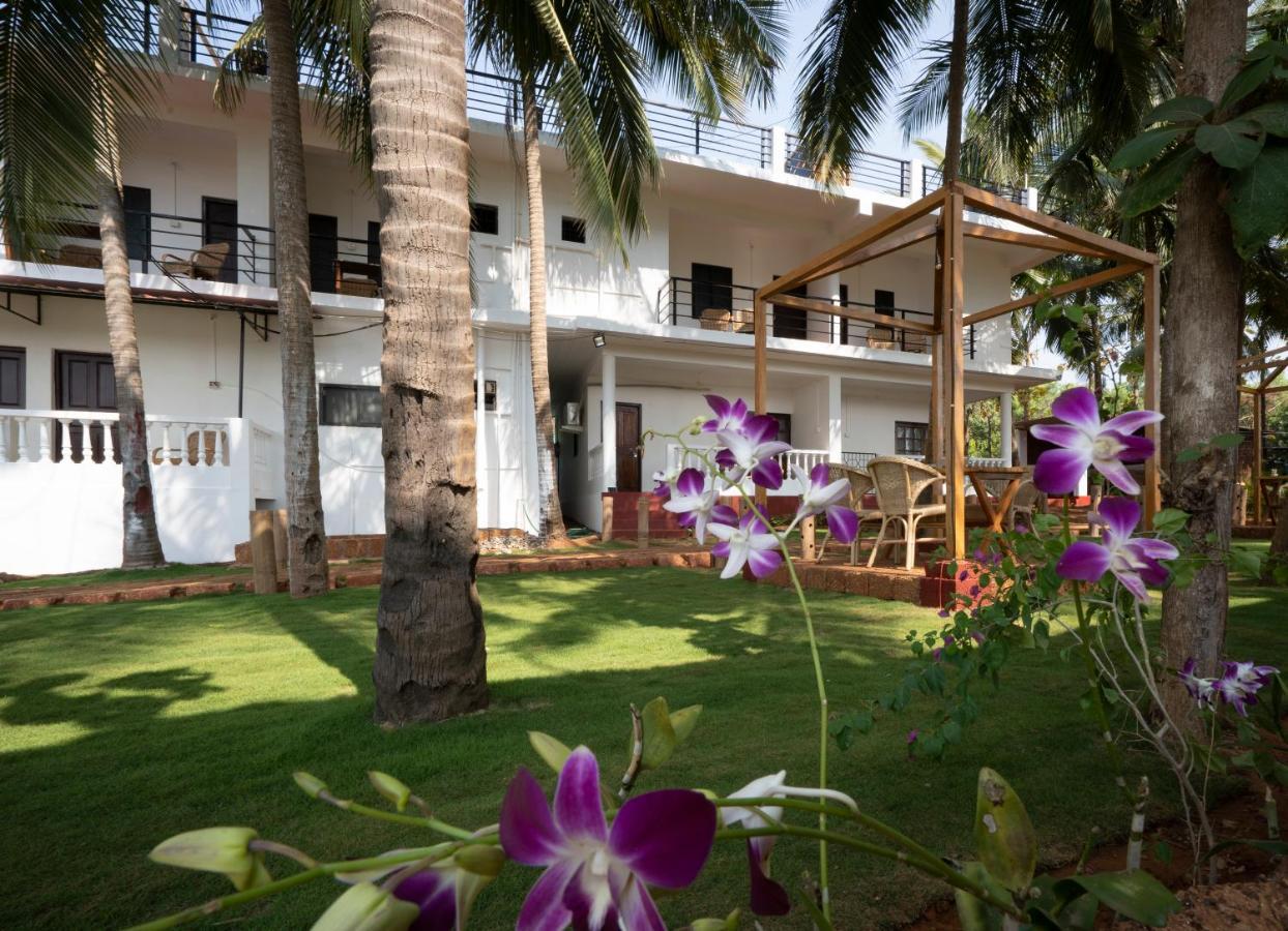 De Lavender Luxury Sea View Guest Houses Agonda Exteriör bild